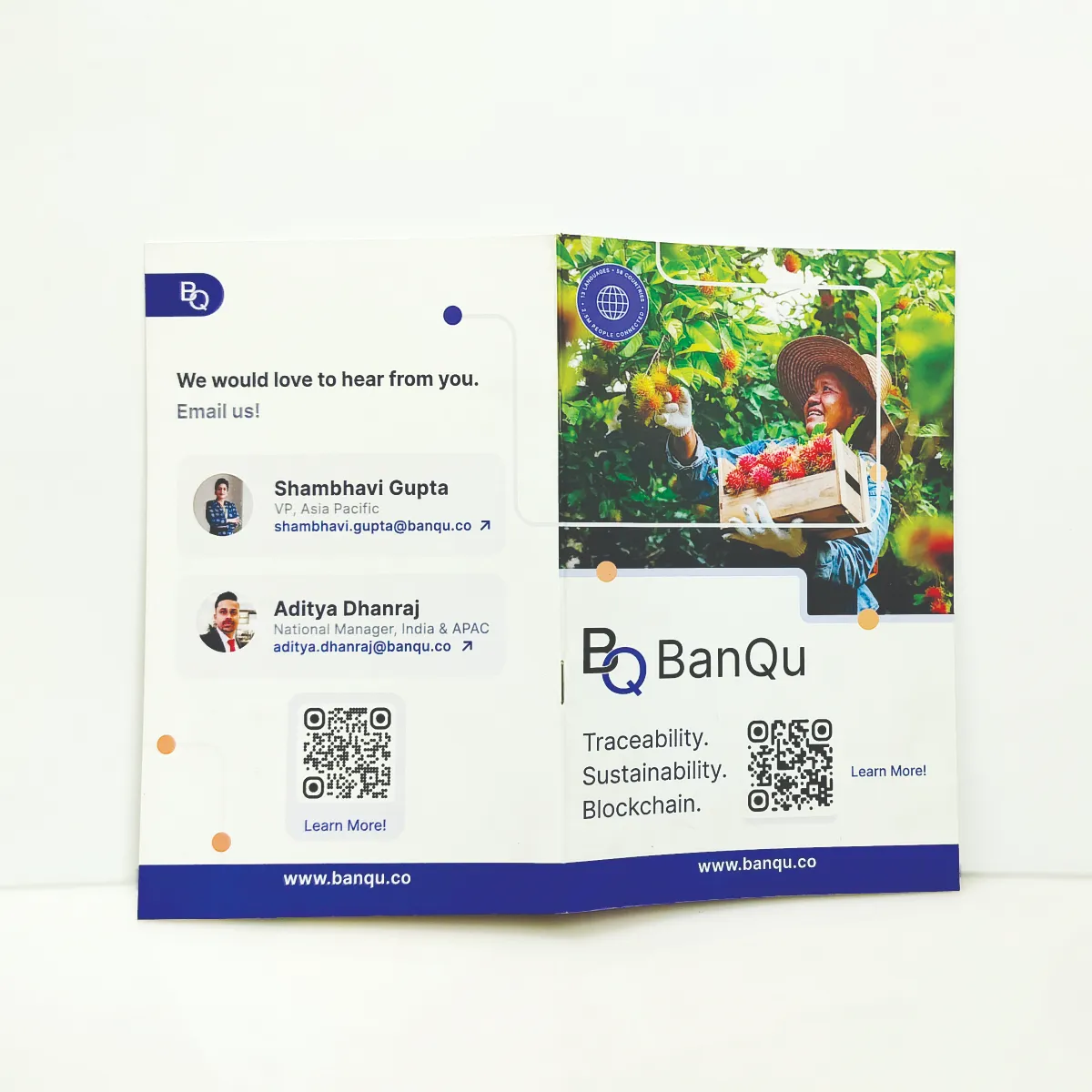 A5 Size Brochure